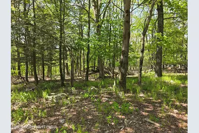  17 Laurel Lane, Mount Pocono, PA 18344 - Photo 10
