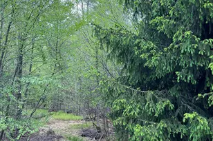 4111 Old Creek Path, Pocono Pines, PA 18350 - Photo 18