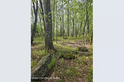  157 Cardinal Lane, Pocono Lake, PA 18347 - Photo 62