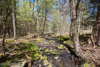  1061 Ridge Drive, Gouldsboro, PA 18424 - Photo 52