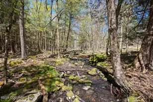 1061 Ridge Dr, Gouldsboro, PA 18424 - Photo 52