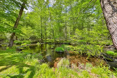  331 Cranberry Creek Road, Cresco, PA 18326 - Photo 80