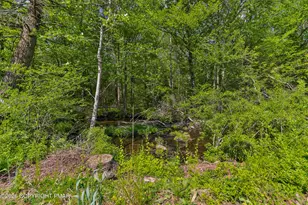 331 Cranberry Creek Rd, Cresco, PA 18326 - Photo 78