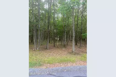  Lot 770 Tink Wig Drive, Hawley, PA 18428 - Photo 12