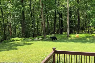 1673 Laurel Run Rd, Bear Creek Township, PA 18702 - Photo 18