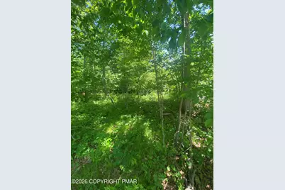  Sellersville Dr 4 Drive, East Stroudsburg, PA 18302 - Photo 2