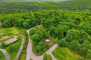 118 Falls Dr, Buck Hill Falls, PA 18323 - Photo 44