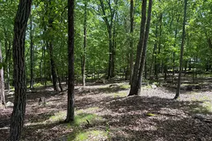 Delilah Rd 31 Rd, East Stroudsburg, PA 18302 - Photo 1