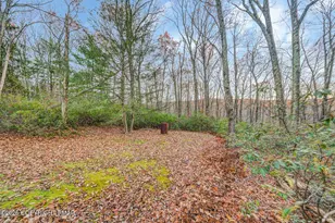384 Devils Hole Rd, Cresco, PA 18326 - Photo 82