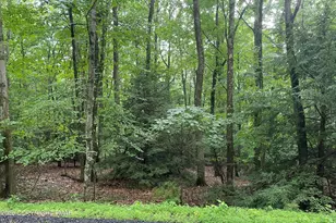 707 Walnut Ln, Albrightsville, PA 18210 - Photo 1