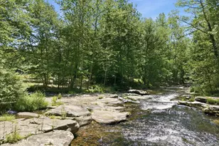 4647 Route 447, Canadensis, PA 18325 - Photo 68