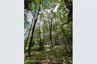  Pine Rd 67 Road, Pocono Pines, PA 18350 - Photo 1
