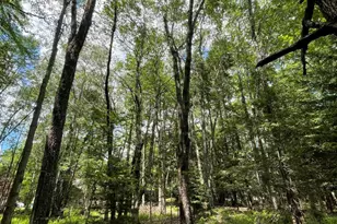 Pine Rd 67 Rd, Pocono Pines, PA 18350 - Photo 1
