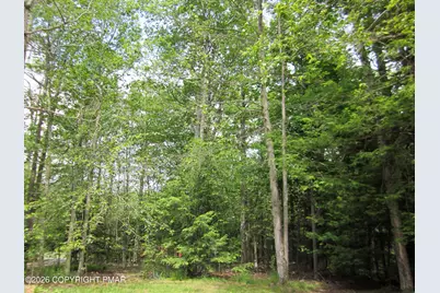  1256 Blackberry Road, Pocono Lake, PA 18347 - Photo 4