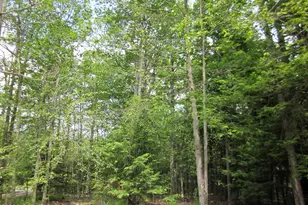 1256 Blackberry Road, Pocono Lake, PA 18347 - Photo 4
