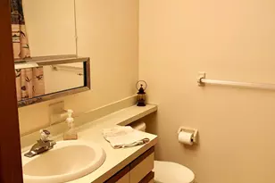 129 Sawmill Rd, Pocono Lake, PA 18347 - Photo 10