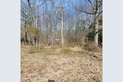  479 Jonas Road, Effort, PA 18330 - Photo 10