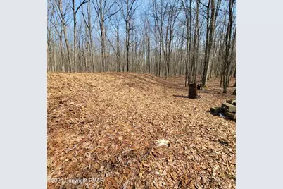  479 Jonas Road, Effort, PA 18330 - Photo 6