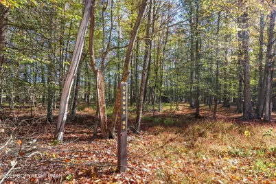  Cygnus Road, Lake Ariel, PA 18436 - Photo 2
