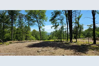  Lot 11 Sawmill Rd, Stroudsburg, PA 18360 - Photo 4