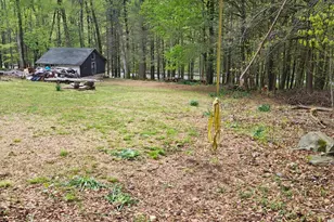 431 2nd St, Harveys Lake, PA 18618 - Photo 44