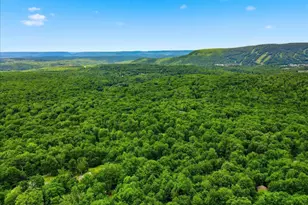 186 Sky Hawk Trail, Scotrun, PA 18355 - Photo 10