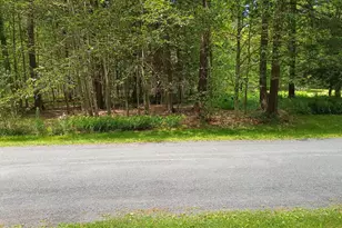 6 Anna Rd, Blakeslee, PA 18610 - Photo 1