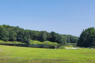 133 Mountain Dr, Greentown, PA 18426 - Photo 26