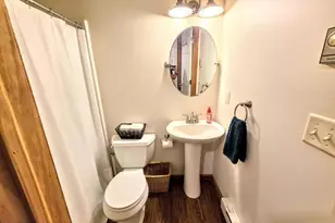 161 Piney Woods Dr, Jim Thorpe, PA 18229 - Photo 28