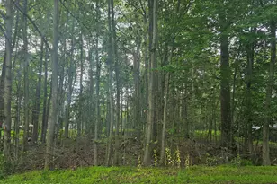 111 Mayfair Rd, Tobyhanna, PA 18466 - Photo 1
