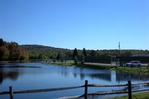 173 Tepee Dr, Pocono Lake, PA 18347 - Photo 22