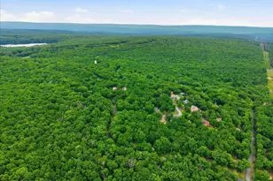 172 Dorchester Dr, Bushkill, PA 18324 - Photo 48