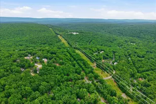 172 Dorchester Dr, Bushkill, PA 18324 - Photo 50