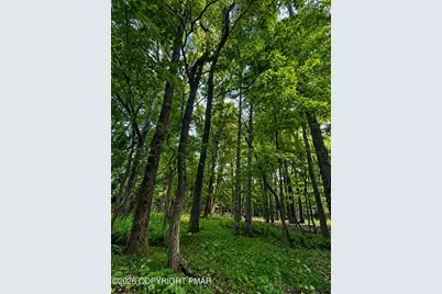  383 Johns Road, Effort, PA 18330 - Photo 1