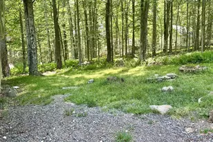 135 Oswayo Dr, Pocono Lake, PA 18347 - Photo 18