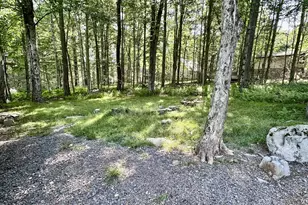 135 Oswayo Dr, Pocono Lake, PA 18347 - Photo 4