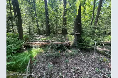  Rt 940 108, Pocono Lake, PA 18347 - Photo 6