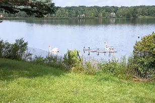 2132 Shore Line Dr, Pocono Summit, PA 18346 - Photo 36