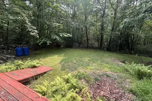 7 Buttonwood Dr, Jim Thorpe, PA 18229 - Photo 30