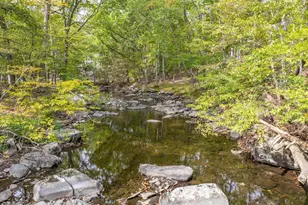159 Manchester Dr, Bushkill, PA 18324 - Photo 60