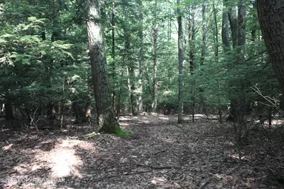  Turkey Ridge Dr 12 Ridge, Kunkletown, PA 18058 - Photo 4