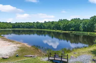 85 Tunkhannock Dr, Albrightsville, PA 18210 - Photo 20