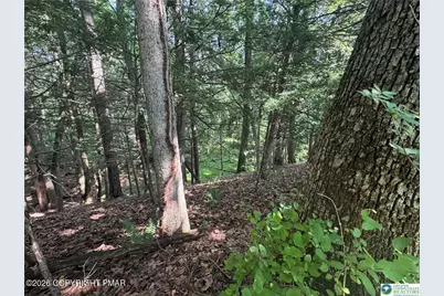  401 Par Dr 401 Drive, Kunkletown, PA 18058 - Photo 4