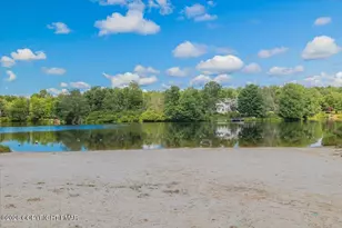 1254 Clover Rd, Long Pond, PA 18334 - Photo 56