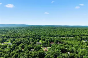 1254 Clover Rd, Long Pond, PA 18334 - Photo 42
