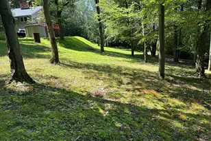 278 Upper Greenhill Rd, Kunkletown, PA 18058 - Photo 74