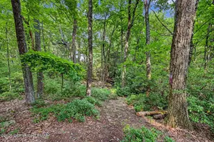 730 Timberline Trail, Effort, PA 18330 - Photo 86