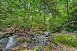 730 Timberline Trail, Effort, PA 18330 - Photo 76