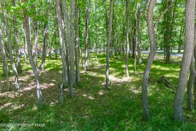  Mountain Road, Albrightsville, PA 18210 - Photo 32