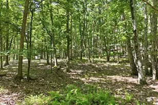 5501 Ginger Bread Ln, East Stroudsburg, PA 18302 - Photo 36